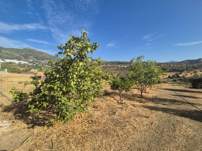 Image No.6-Terre à vendre à Casarabonela