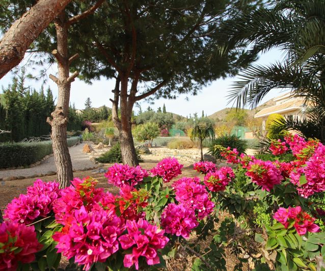 Image No.2-4 Bed Villa for sale