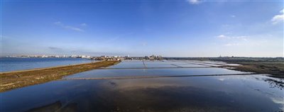 326fabulousmarmenorbeachfrontapartments181120