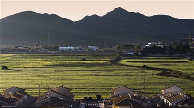 326fabulousmarmenorbeachfrontapartments181120