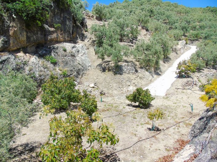 Image No.11-Maison de campagne à vendre à Canillas de Albaida