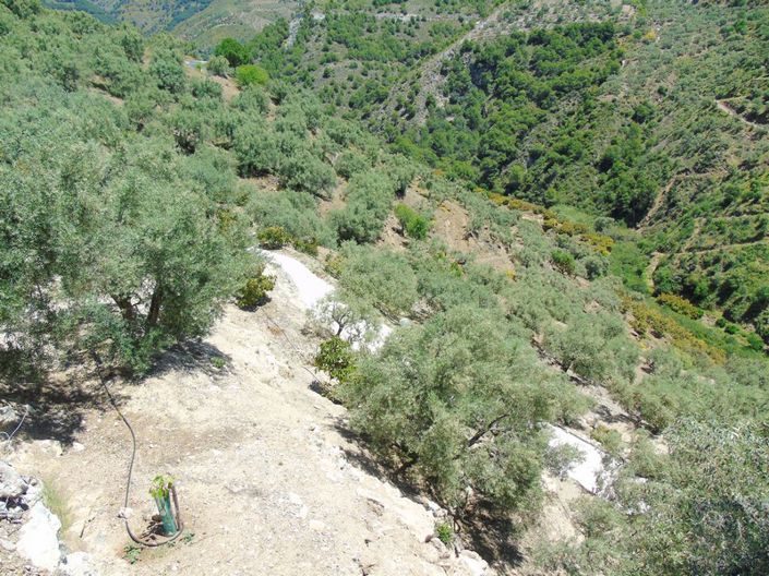 Image No.8-Maison de campagne à vendre à Canillas de Albaida