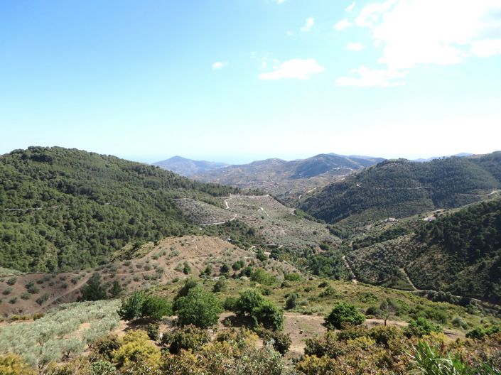 Image No.16-3 Bed Villa for sale