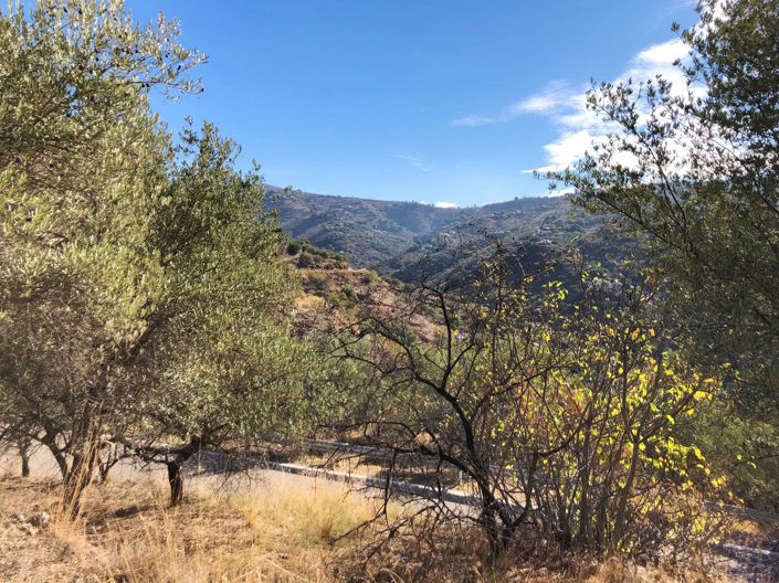 Image No.11-3 Bed Villa for sale