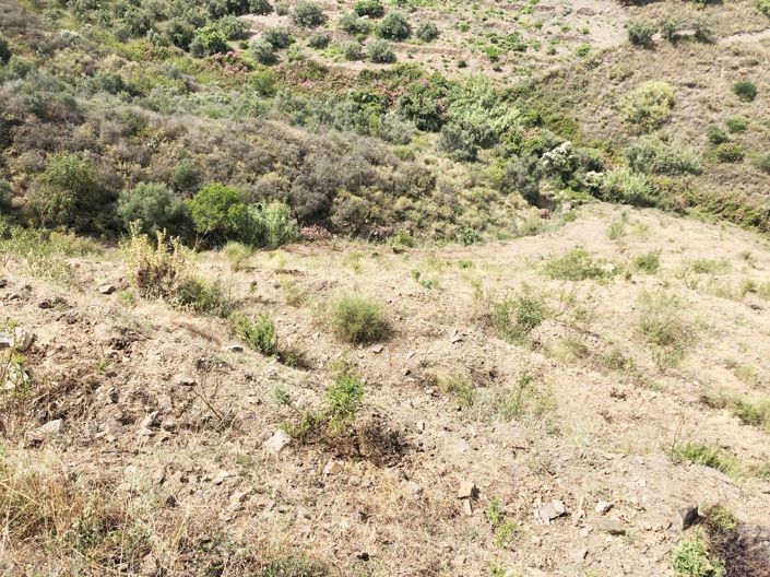 Image No.17-Villa de 2 chambres à vendre à Torrox