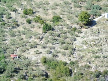 1 - Canillas de Albaida, Maison de campagne