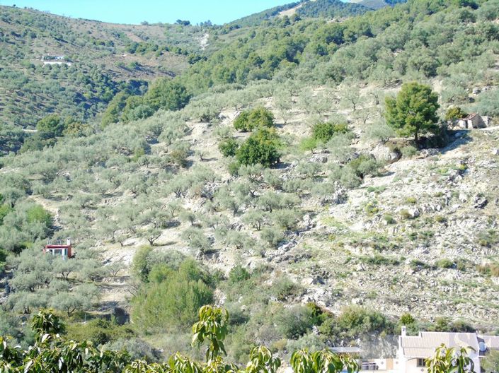 Image No.11-Maison de campagne de 1 chambre à vendre à Canillas de Albaida