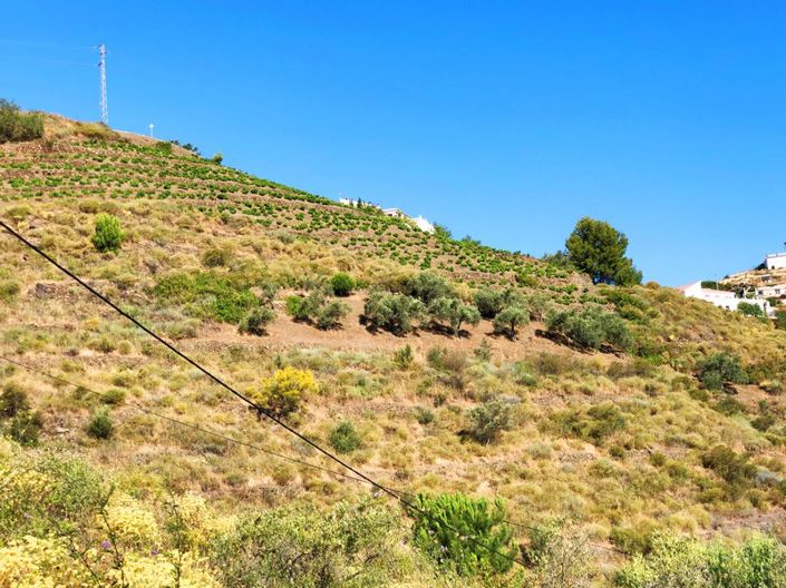 Image No.10-Terrain de 4 chambres à vendre à Cómpeta