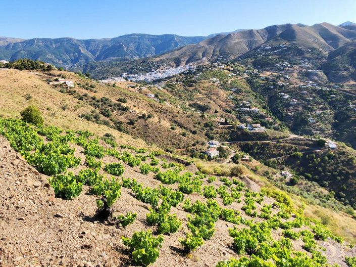 Image No.9-Terrain de 4 chambres à vendre à Cómpeta