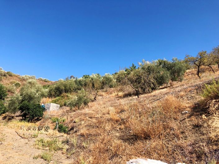 Image No.15-3 Bed Plot for sale