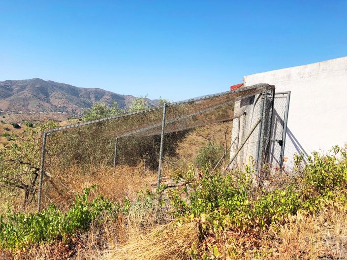 Image No.3-3 Bed Plot for sale