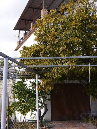 Image No.10-Maison de ville de 4 chambres à vendre à Canillas de Aceituno