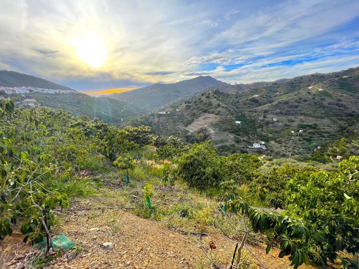 Image No.10-Maison de campagne à vendre à Sayalonga