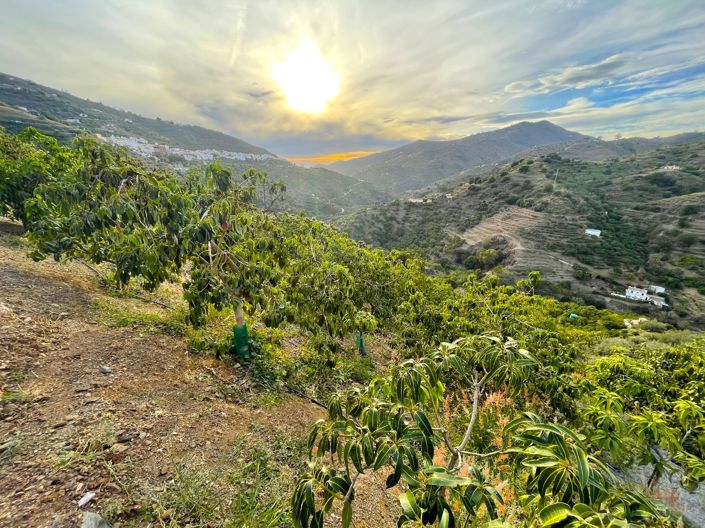 Image No.2-Maison de campagne à vendre à Sayalonga