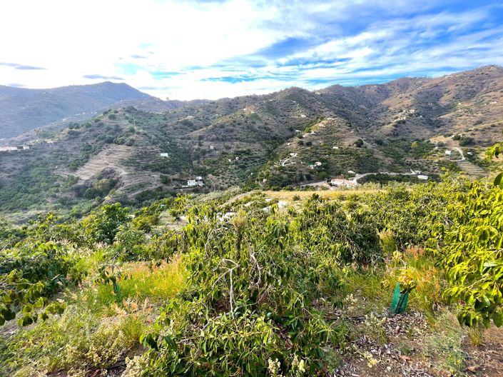 Image No.5-Maison de campagne à vendre à Sayalonga