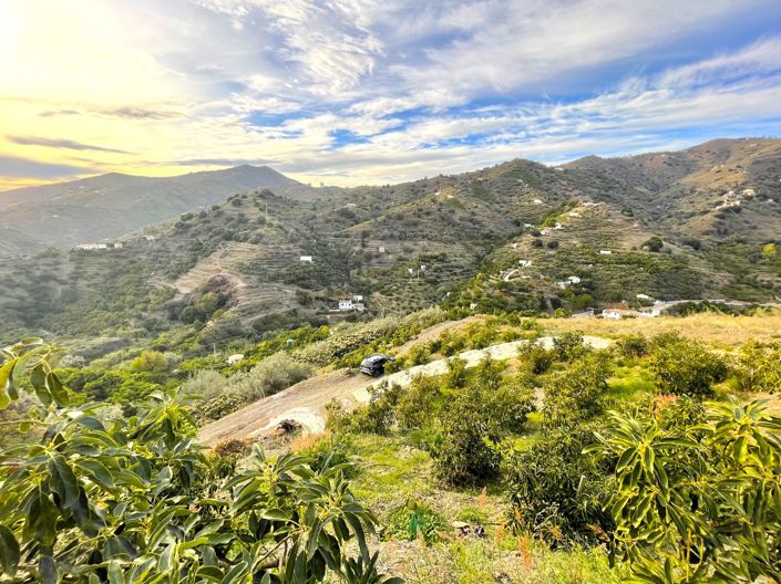 Image No.6-Maison de campagne à vendre à Sayalonga
