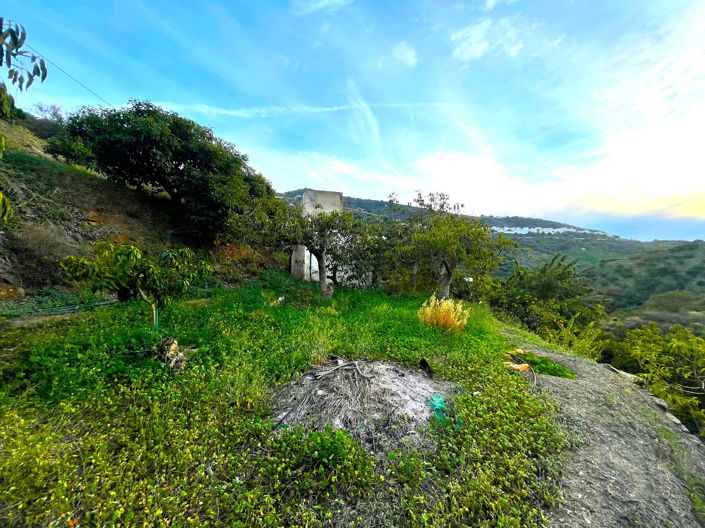 Image No.7-Maison de campagne à vendre à Sayalonga