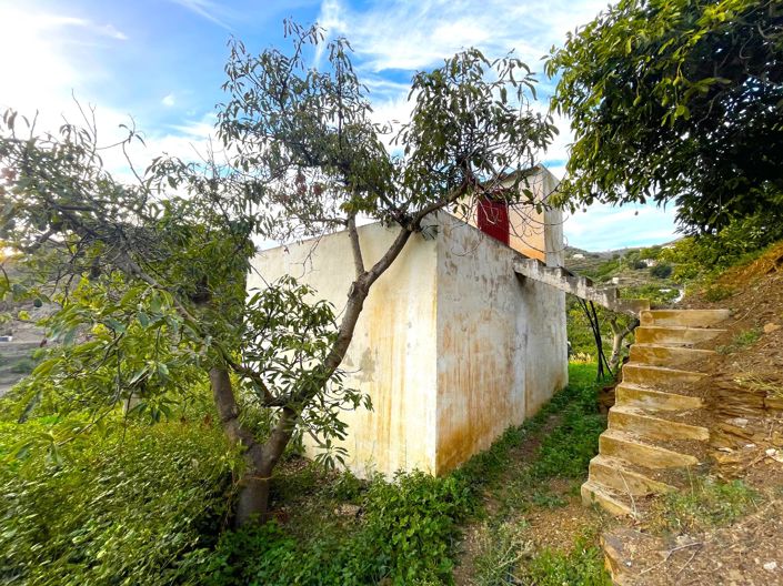 Image No.8-Maison de campagne à vendre à Sayalonga