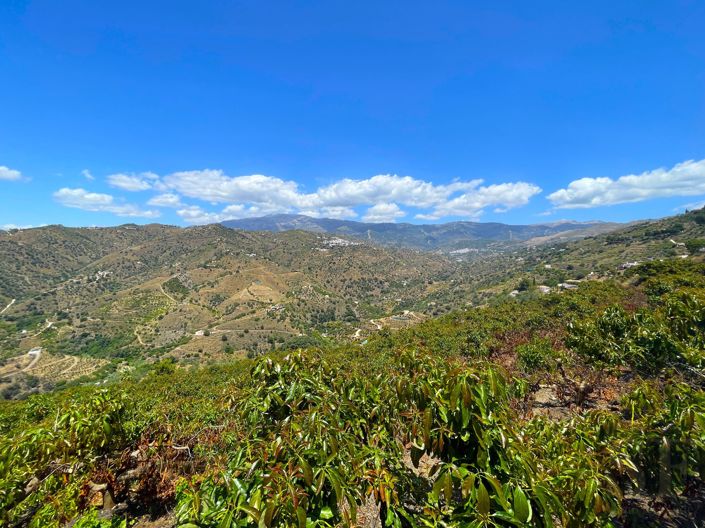 Image No.19-2 Bed Villa for sale