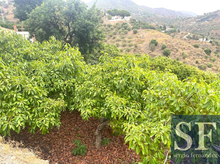 Image No.17-4 Bed Villa for sale