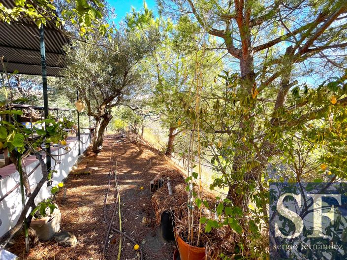 Image No.12-2 Bed Villa for sale