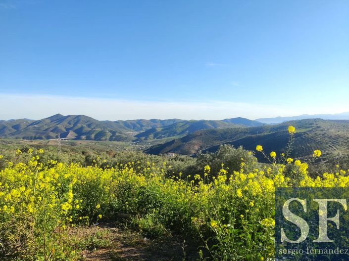 Image No.12-2 Bed Villa for sale