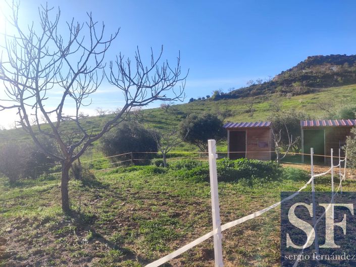 Image No.13-2 Bed Villa for sale