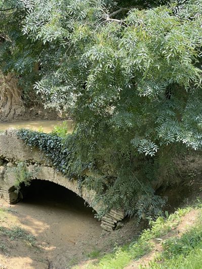Image No.34-Maison de 4 chambres à vendre à Gimont