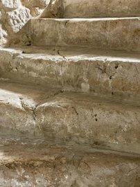 maison-manoir-11-pieces-auch-32000-1697660418