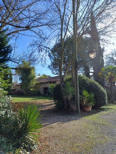 Image No.48-5 Bed House for sale