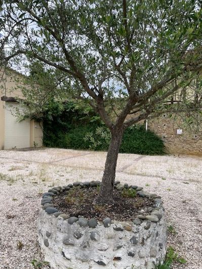 Image No.55-Maison de 5 chambres à vendre à Madiran