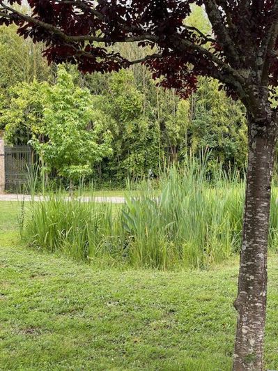 Image No.56-Maison de 5 chambres à vendre à Madiran