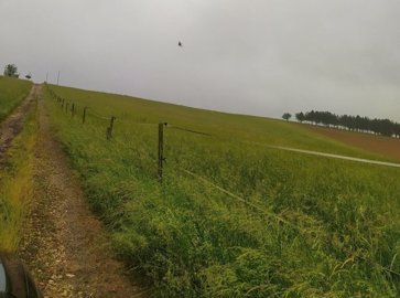 maison-equestre-1-piece-demu-32190-1663838551