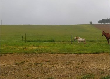 maison-equestre-1-piece-demu-32190-1663838551