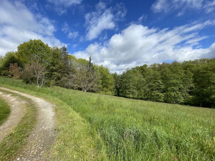Image No.33-Maison de 4 chambres à vendre à Masseube