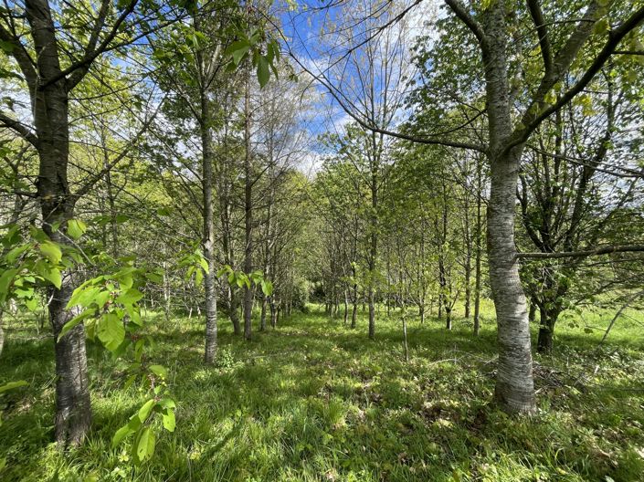 Image No.38-Maison de 4 chambres à vendre à Masseube