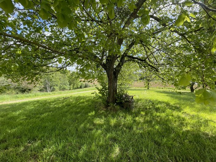 Image No.39-Maison de 4 chambres à vendre à Masseube