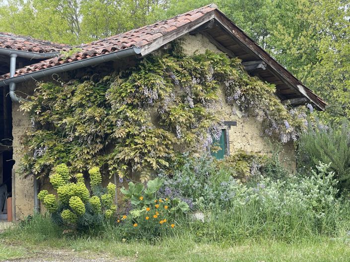 Image No.40-Maison de 4 chambres à vendre à Masseube