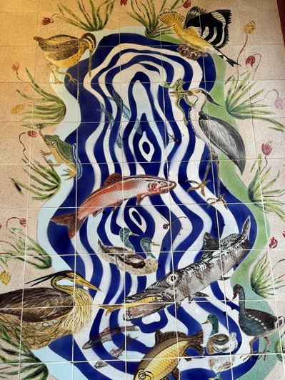 Image No.10-Maison de 9 chambres à vendre à Maubourguet