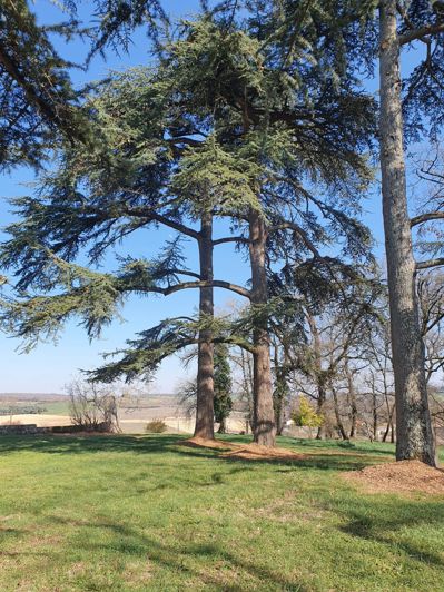 Image No.16-House for sale