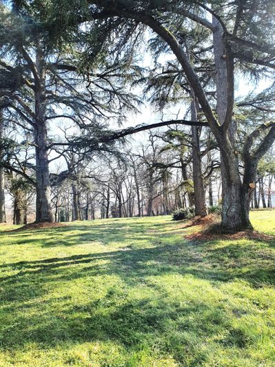 Image No.3-House for sale