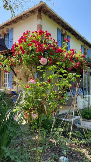 Image No.16-Maison de 15 chambres à vendre à Mirande