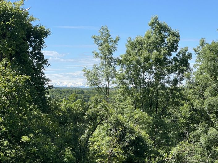 Image No.30-3 Bed Country House for sale