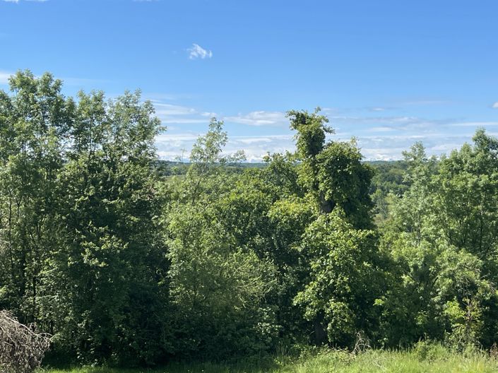 Image No.37-3 Bed Country House for sale