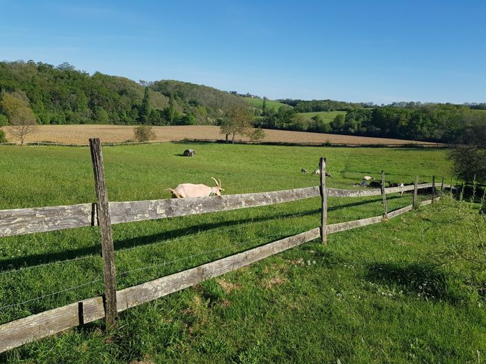 Image No.7-4 Bed House for sale