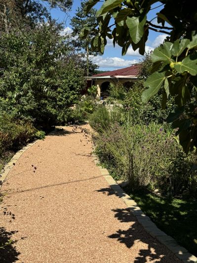 Image No.35-Maison de 3 chambres à vendre à Mirande