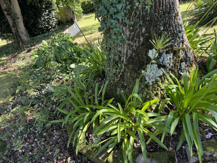 Image No.53-Maison de 3 chambres à vendre à Mirande