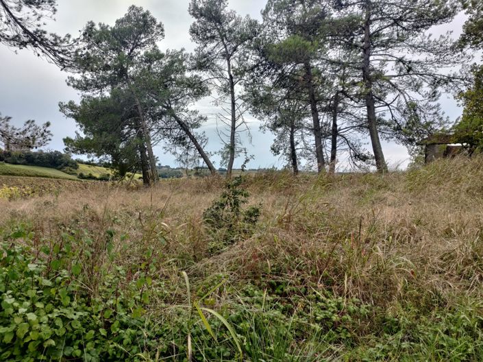 Image No.30-3 Bed House for sale