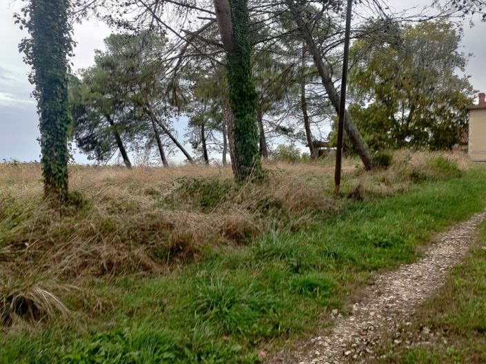 Image No.32-3 Bed House for sale