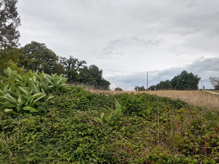 Image No.37-3 Bed House for sale